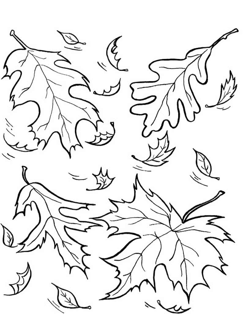 Раскраски Листья