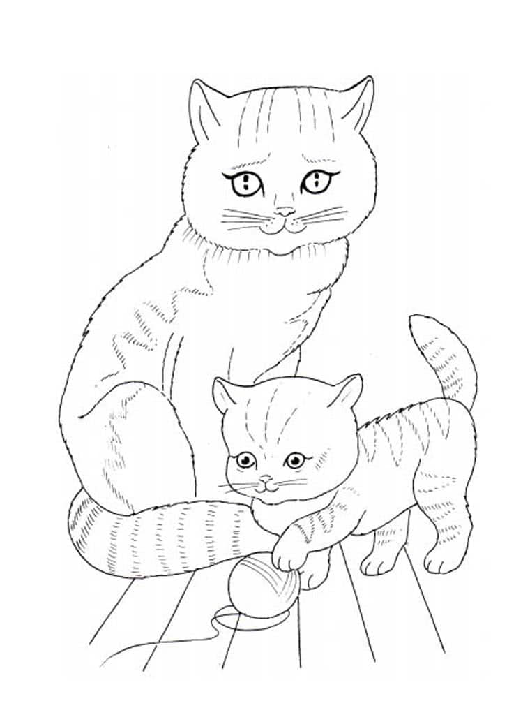 Раскраски Кошки и Котята